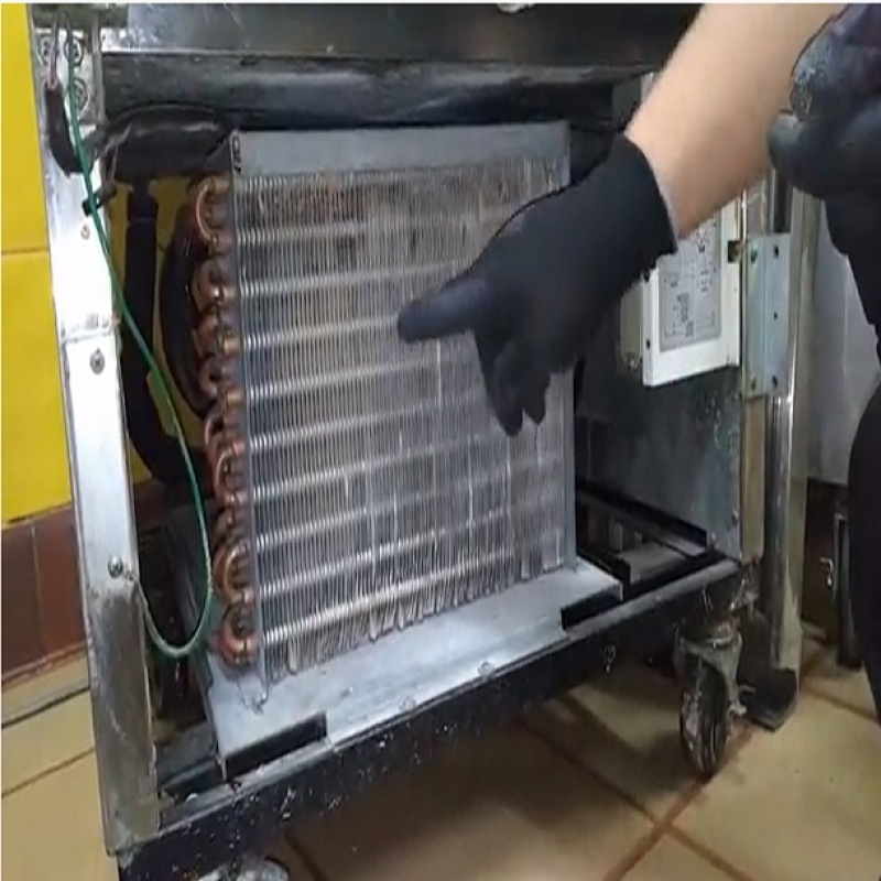 Reparación Profesional de Congeladores