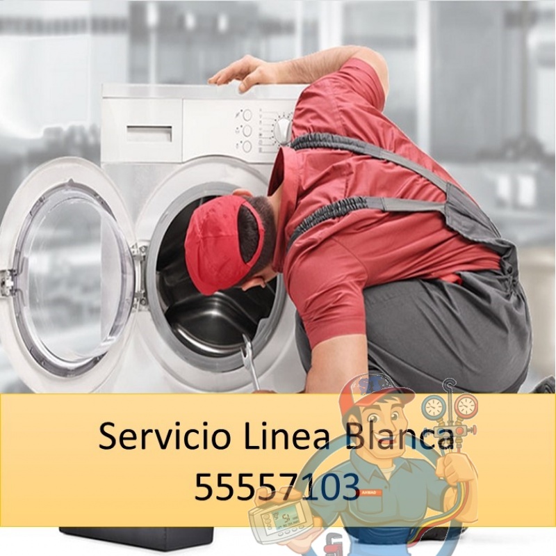 Servicio y Reparación de Línea Blanca