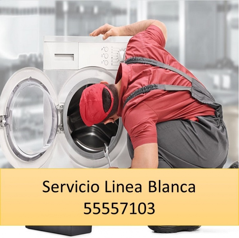 Servicio y Reparación de Línea Blanca