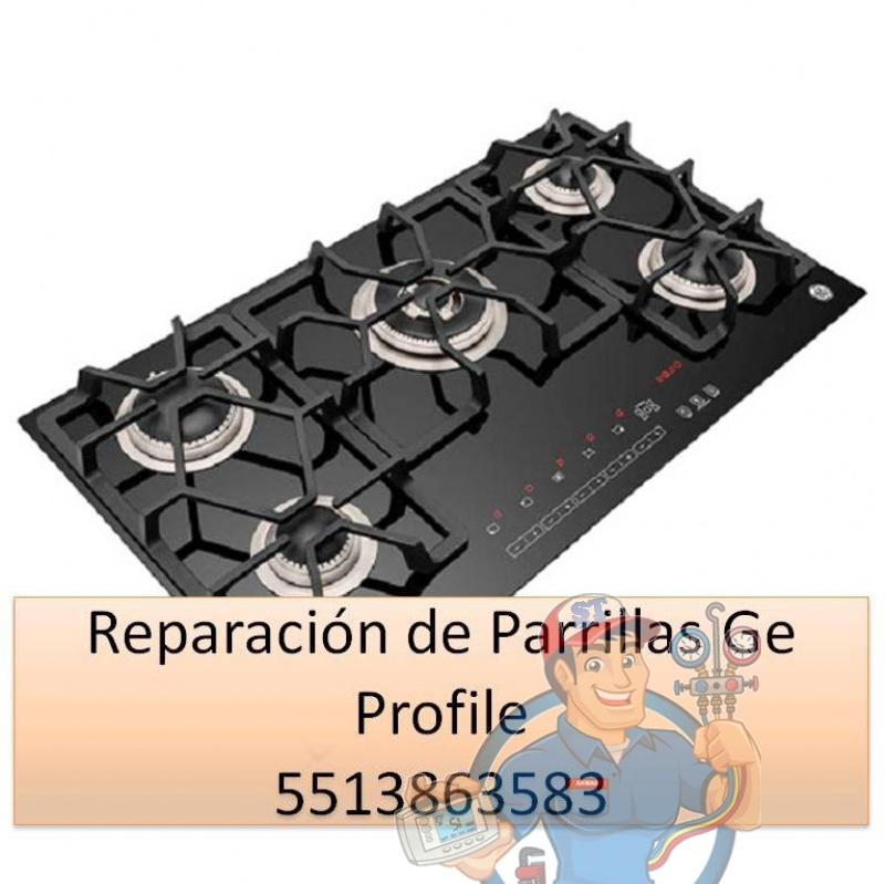 Reparación de Parrillas Ge Profile