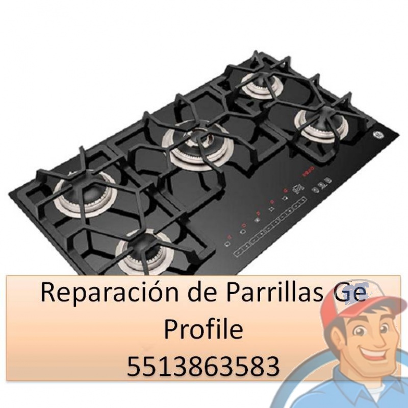 Reparación de Parrillas Ge Profile