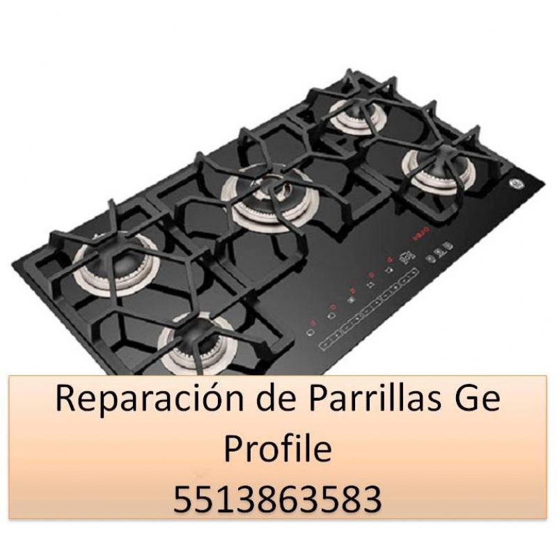 Reparación de Parrillas Ge Profile