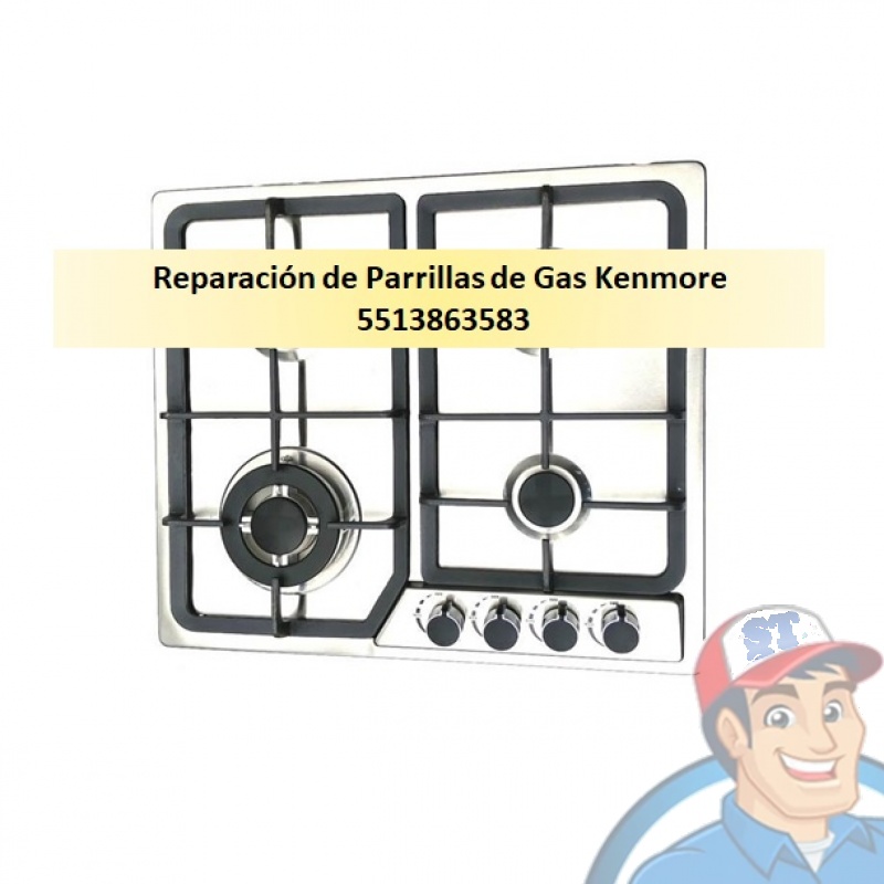 Reparación de Parrillas de Gas Kenmore