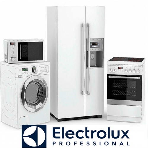 Reparación de Línea Blanca Electrolux